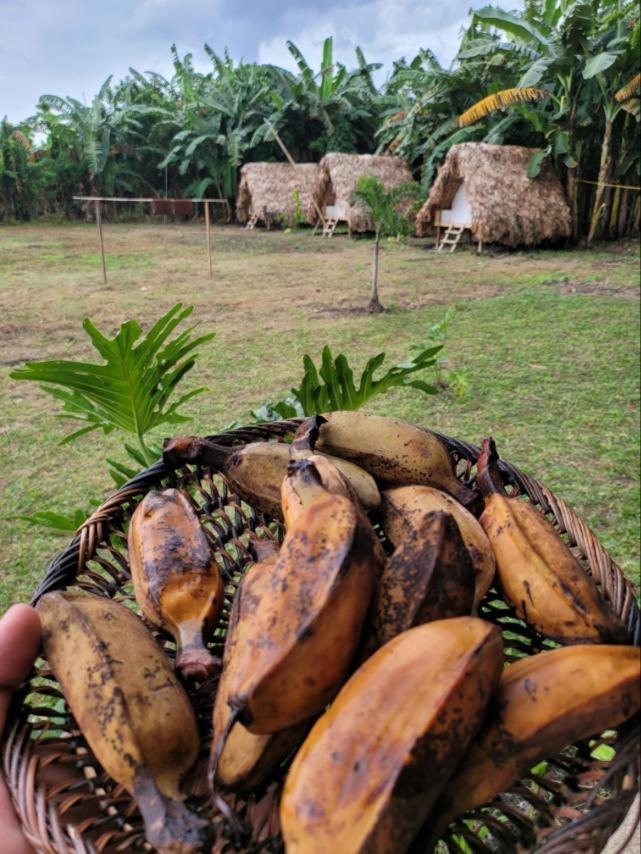 Casa Juan Farm Hotel Candelaria  ภายนอก รูปภาพ